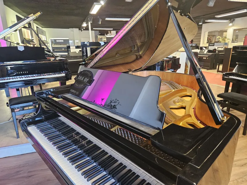 Piano à queue d'occasion Pleyel modèle 170 fabriqué en Allemagne