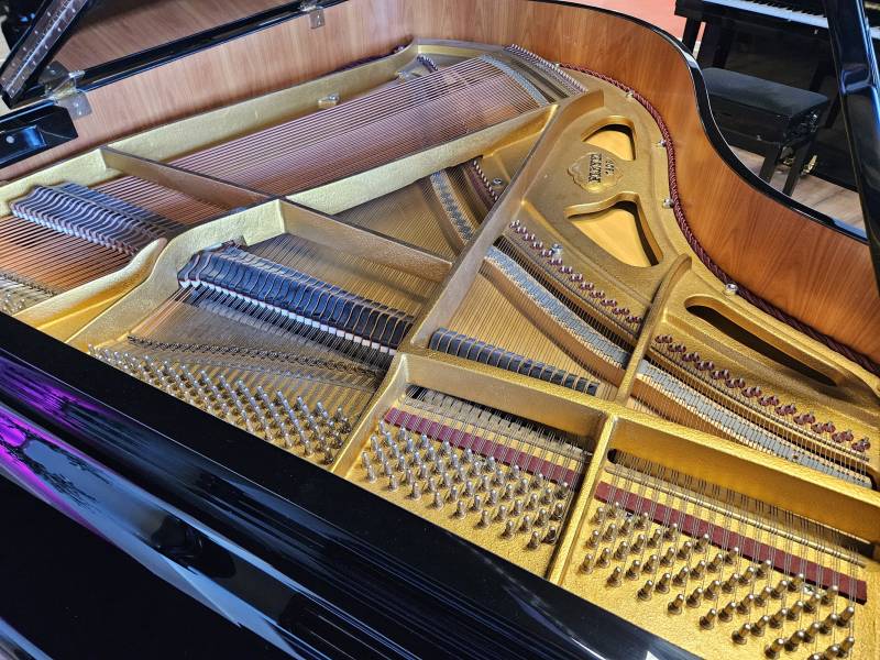 Mécanique du piano à queue Pleyel modèle 170 d’occasion noir laqué
