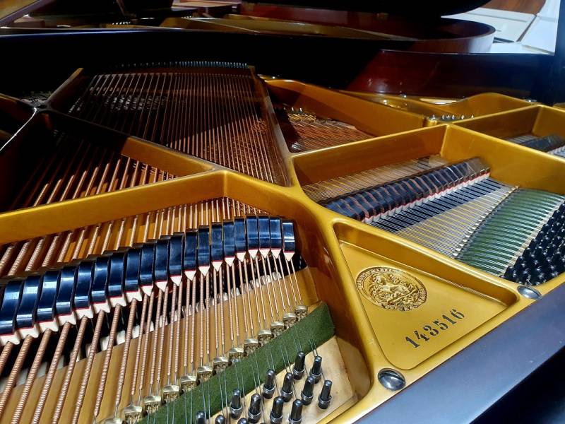 Mécanique du piano à queue C. Bechstein modèle S d’occasion