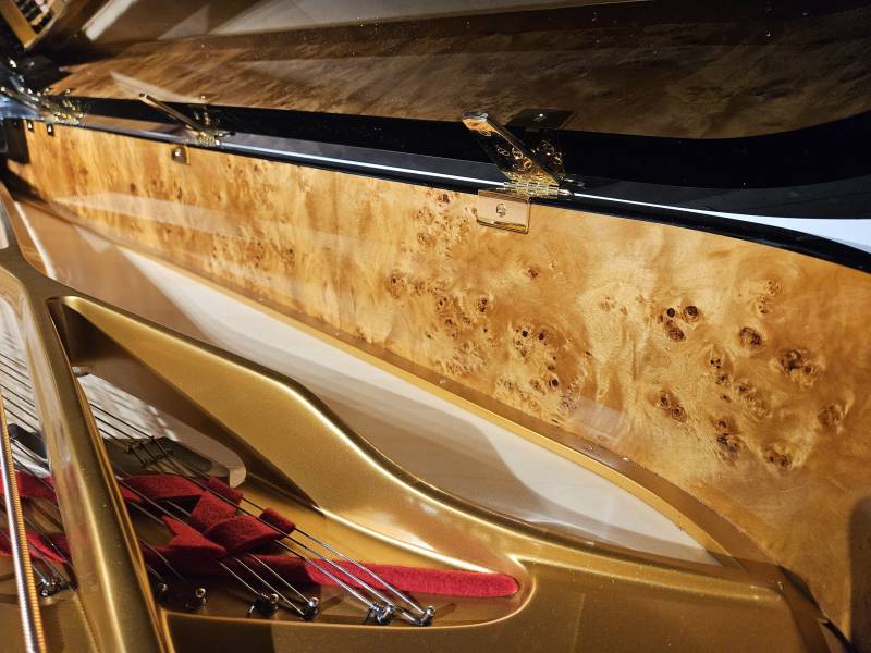 Ceinture du piano à queue Fazioli modèle F228 d’occasion