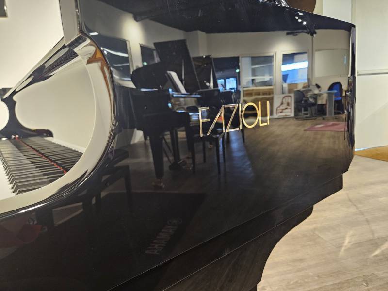 Piano à queue de concert Fazioli modèle F228 d’occasion dans l'Hérault