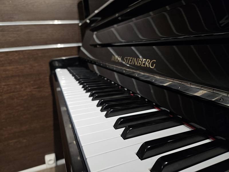Piano droit Wilh. Steinberg modèle P125 d’occasion à Montpellier