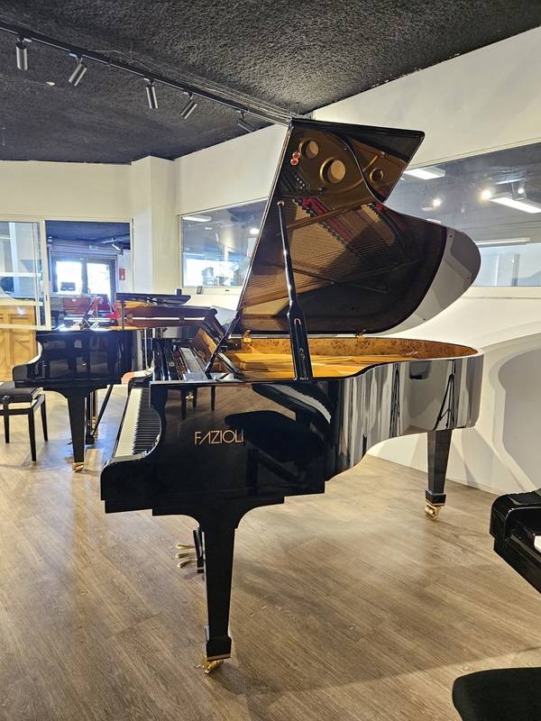 Piano à queue de concert professionnel Fazioli modèle F183 d’occasion