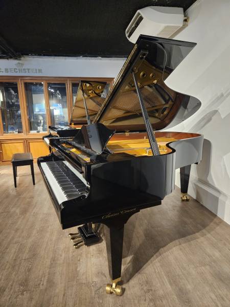 Piano à queue de concert professionnel C. Bechstein modèle B212