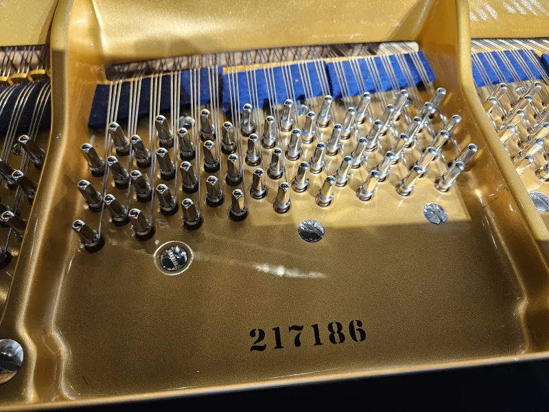 Numéro de série du piano à queue C. Bechstein modèle A190 neuf