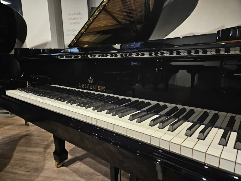 C. Bechstein professionnel A190 à Montpellier