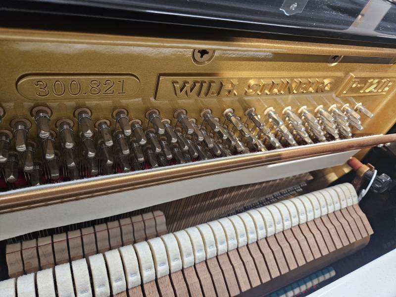 Numéro de série du piano droit Wilh. Steinberg modèle P121