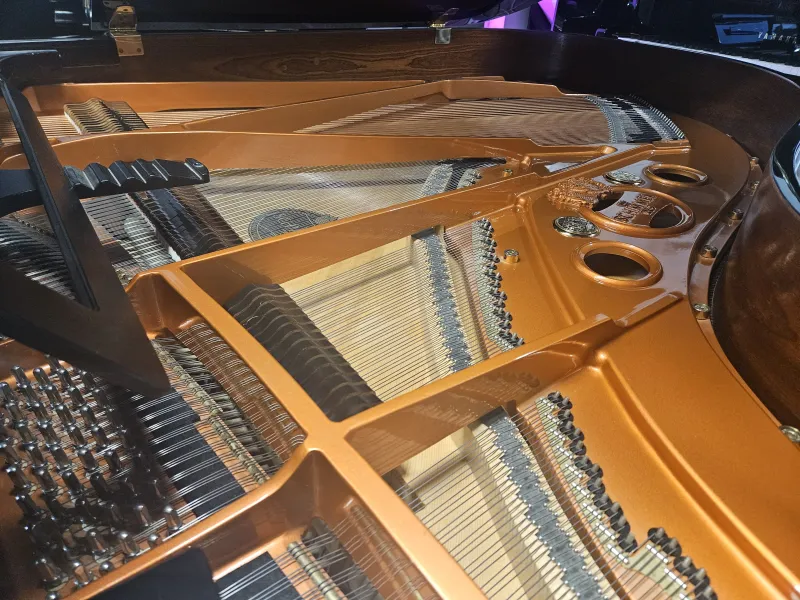 Piano à queue d'expression d'occasion Allemand à Montpellier