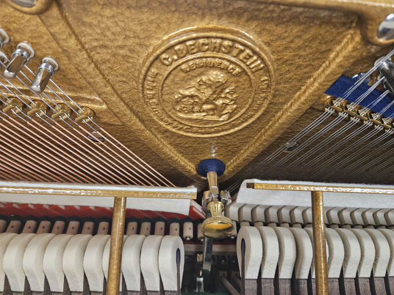 C. Bechstein modèle R2 Millenium à Montpellier