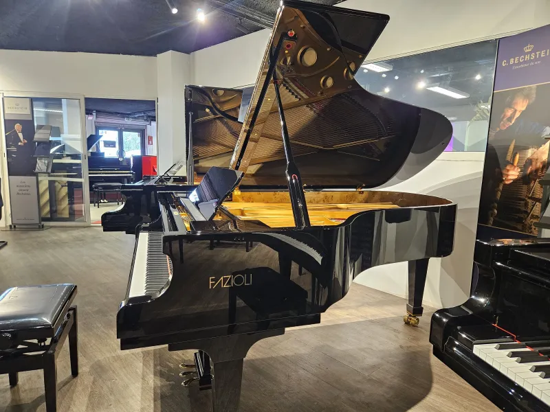 Piano à queue de concert Fazioli modèle F212 d'occasion