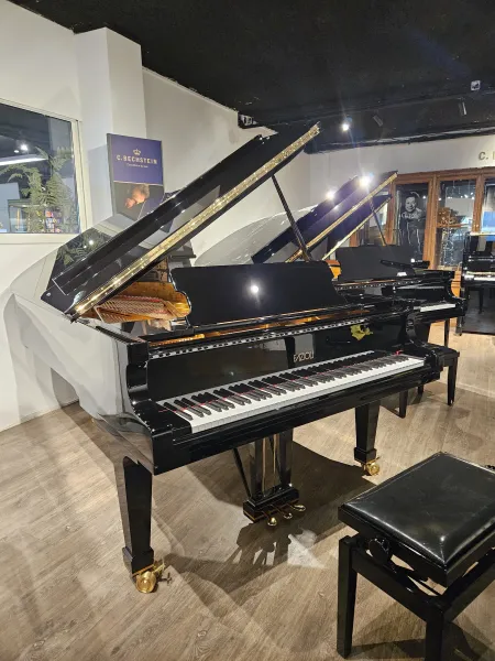 Piano à queue Fazioli modèle F212 d'occasion