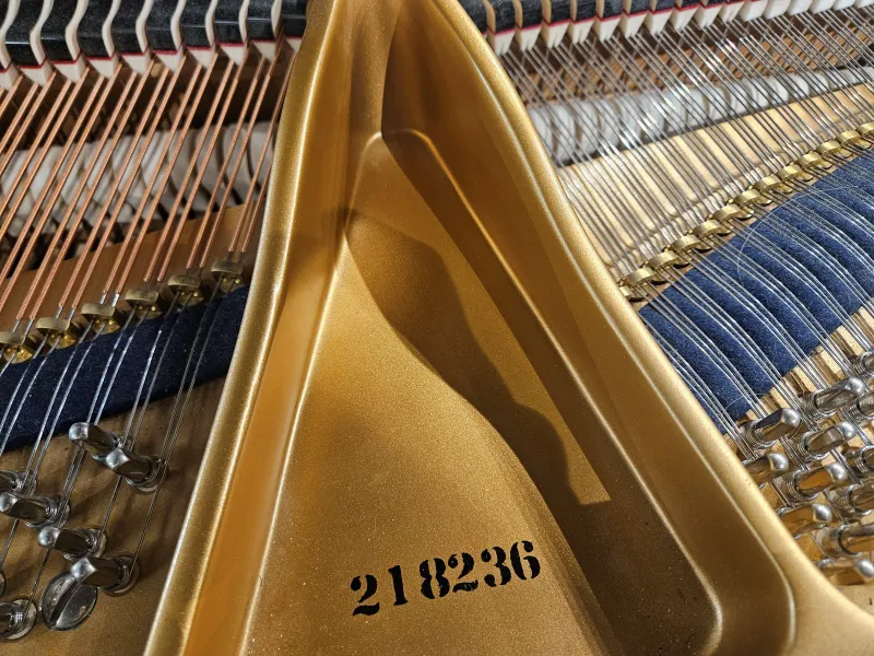 Numéro de série du piano à queue C. Bechstein modèle A190