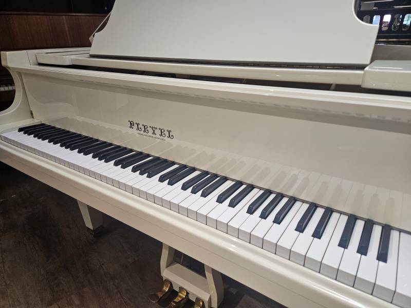 Clavier du piano à queue d'expression Pleyel modèle 174