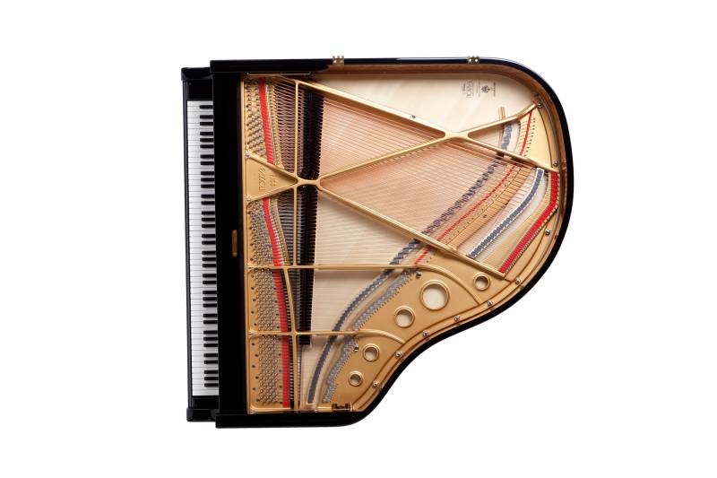Piano à queue Fazioli modèle F156