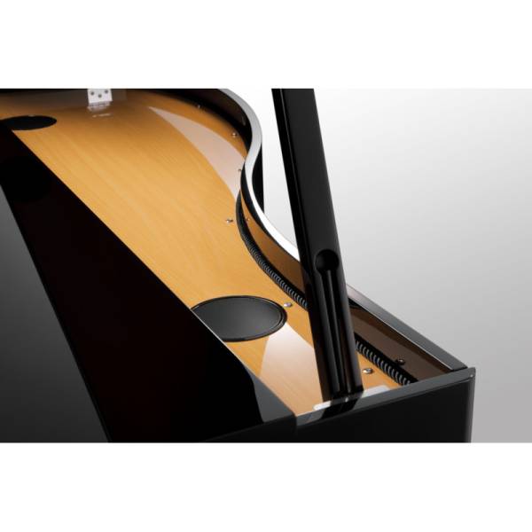 Table d'harmonie du piano numérique Kawai modèle DG30