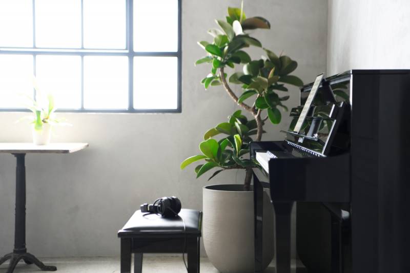 Piano numérique haut de gamme Kawai modèle Novus NV5S vue de profil