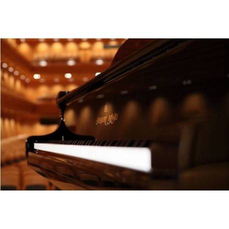 Piano à queue de prestige Shigeru Kawai