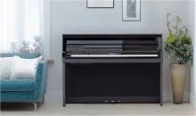 Notre zone d'activité pour ce service Piano de concert neuf ou d'occasion à la vente